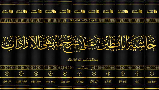 WHOLESALE | Hashiyah Aba Butayn 'ala Sharh Muntaha al-Iradat 11 Volumes