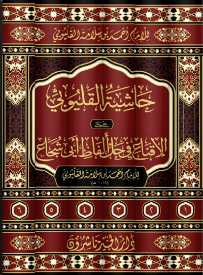 WHOLESALE | Ḥāshiyat al-Qalyūbī ʿalā al-Iqnāʿ fī Ḥall Alfāẓ Abī Shujāʿ – 6 Volume Set